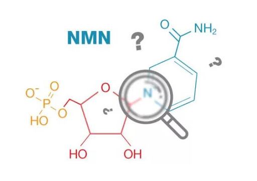 NMN (viết tắt của Nicotinamide Mononucleotide) - hoạt chất tốt cho sức khỏe con người