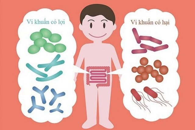 Men vi sinh có lợi và có hại cho bé